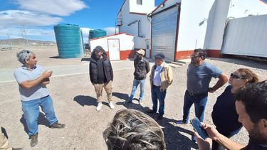 Cooperativas y entidades rurales son clave en la organización de la producción ovina.