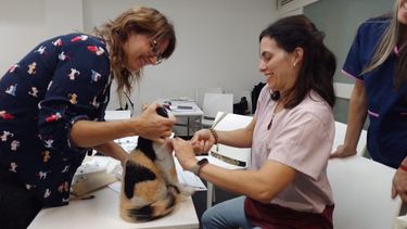 A través de su campus, la Dra. Luka forma a médicos veterinarios para que el paciente sea mejor atendido.