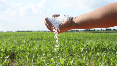 La Resolución Senasa 431/2024 publicada en el Boletín Oficial busca simplificar el registro y brindar mayor eficiencia.