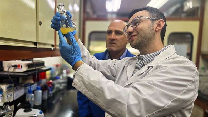 Primer paso en la evaluación de reactivos recombinantes para el diagnóstico de tuberculosis bovina.