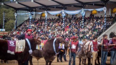 SRA: Exposición Rural Edición 2023