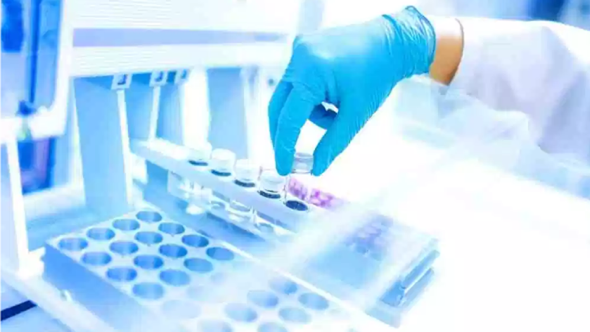 El Centro de Medicina Comparada presenta nueva área de ensayos in vitro y  alternativos