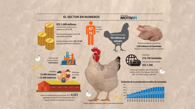 La avicultura en infografía.