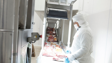El Senasa certificó exportaciones por 934.977 toneladas de carne bovina a distintos mercados internacionales.