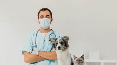 En nutrición animal, Alican ya lidera el segmento de alimentos húmedos para mascotas.