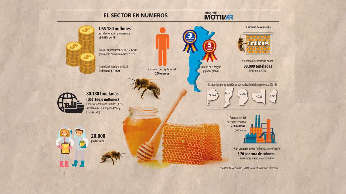 Día Nacional de la Miel: consumo en pandemia aumentó casi 600 gramos per  cápita