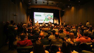 La soja busca revertir la tendencia negativa.&nbsp;