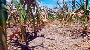 El clima estival sigue siendo hostil, pero comienza a dar señales de cambio.