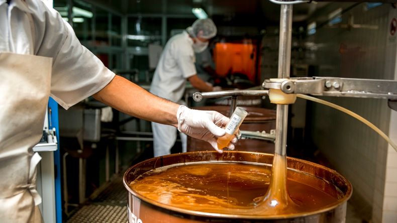 El Senasa y Conicet abordaron los aspectos relacionados especialmente con aquellas innovaciones orientadas a la protección y nutrición vegetal.&nbsp;