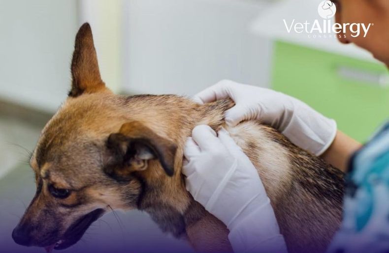 El congreso de dermatología veterinaria se dará en un ámbito que permitala discusión directa y fluida de conceptos fisiopatológicos, clínicos yterapéuticos.