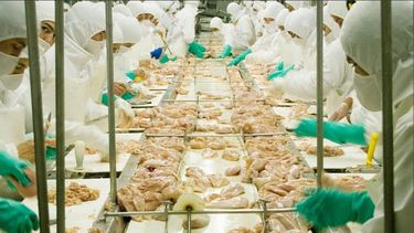 La avicultura argentina agrega mercados y se recupera del golpe de influenza aviar del año pasado.