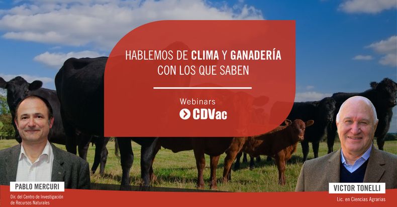 Webinar Noticia.jpg