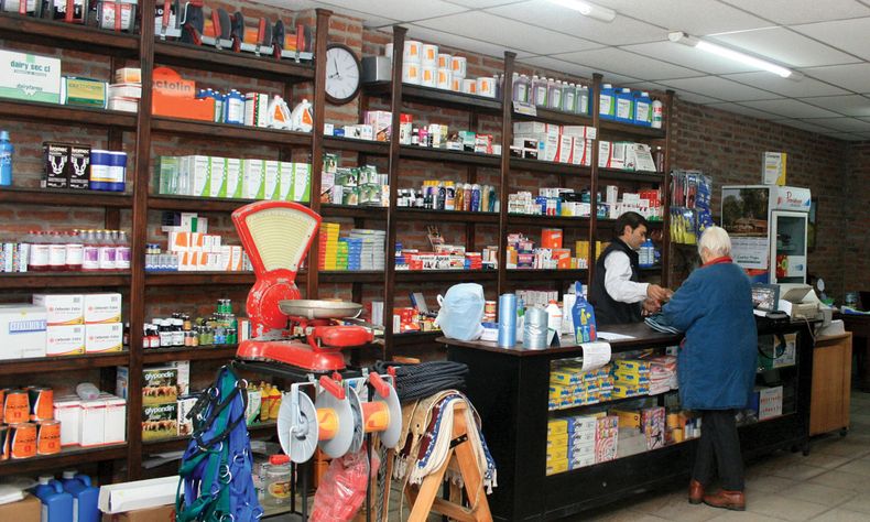 Foto veterinaria grandes.jpg