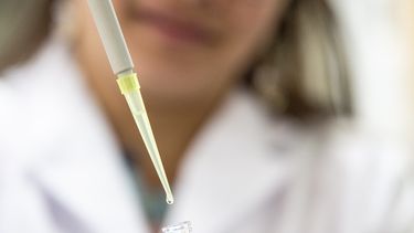 Laboratorio Litoral actúa como proveedor de análisis para la industria de productos veterinarios, siguiendo las Buenas Prácticas de Laboratorio y los estándares de calidad definidos en la Norma ISO 17025:2017.&nbsp;