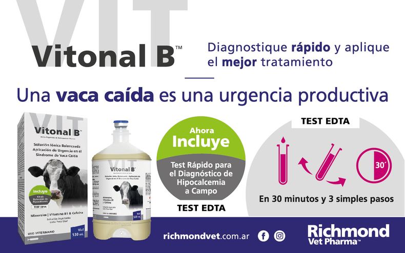 El foco en la vaca caída.