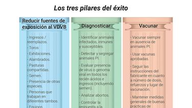 Motivar | Los tres pilares.jpg