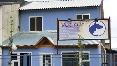 Motivar | Vet Sur 2.jpg