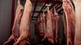 El sector porcino argentino consolida su presencia en mercados internacionales, proyectando un futuro de expansión y oportunidades de crecimiento.
