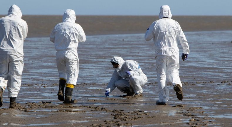 Se realizó una jornada de experimental a campoen San Clemente del Tuyú para la detección temprana de influenza aviar.