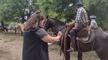 La vacunación contra la encefalomielitis equina es obligatoria a partir de los dos meses del animal.