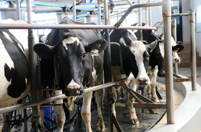 TodoLáctea vuelve a reunir a los principales referentes del sector, pensando en una mejor producción lechera.