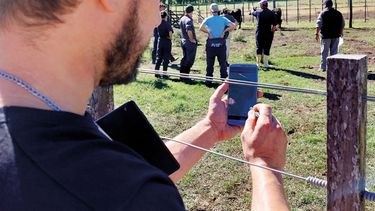 Es crucial el seguimiento de un veterinario en el plan sanitario.