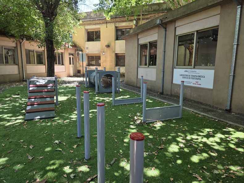 Innovación, formación y bienestar animal, pilares del nuevo Laboratorio Kinésico.