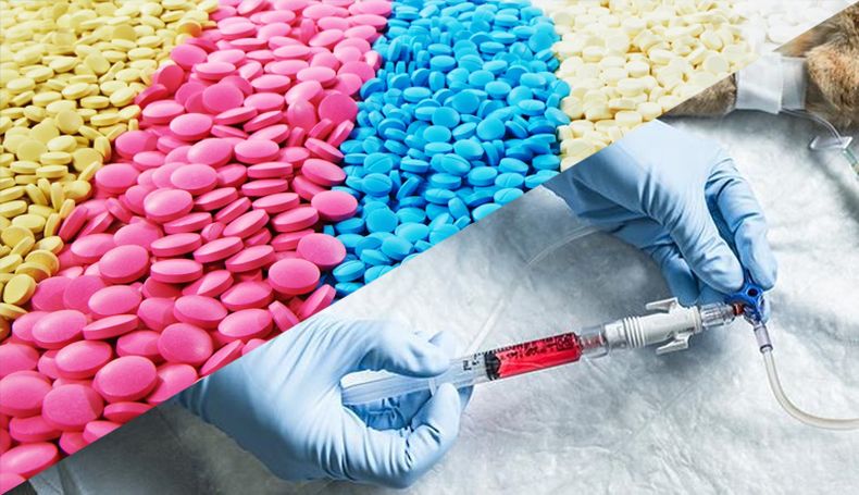 Se estima que una cuarta parte de todos los agentes anticancerígenos en desarrollo en medicina humana son agentes orales. La misma tendencia (o aun mayor), se observa en medicina veterinaria.