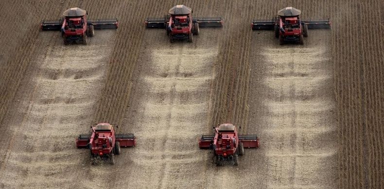 El sector agroindustrial argentino, motor de la economía, posee un vasto potencial para impulsar el desarrollo y las exportaciones.