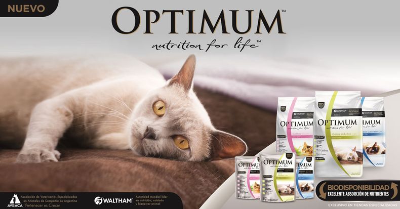 Original Optimum Portada.jpg