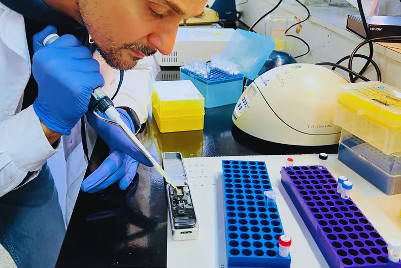 Este gran avance permitirá diseñar estrategias más eficientes para el control de la chicharrita.