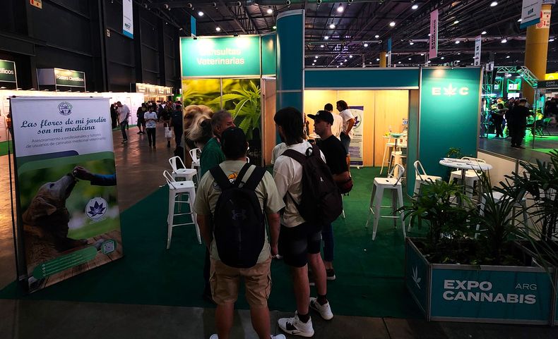 El uso de cannabis en veterinaria tuvo fuerte repercusión en la Expo Cannabis 2024.
