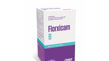 El nuevo lanzamiento de OVER permite abordar los casos clínicos de manera integral.