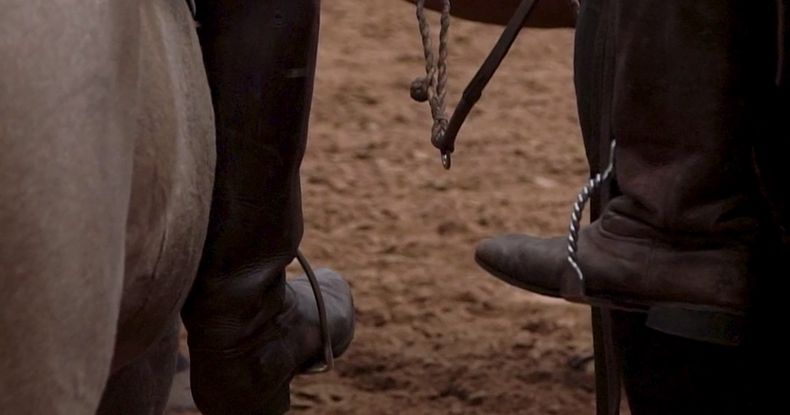 Participarán referentes destacados de la industria, entidades, cabañas y criadores de todo el país.