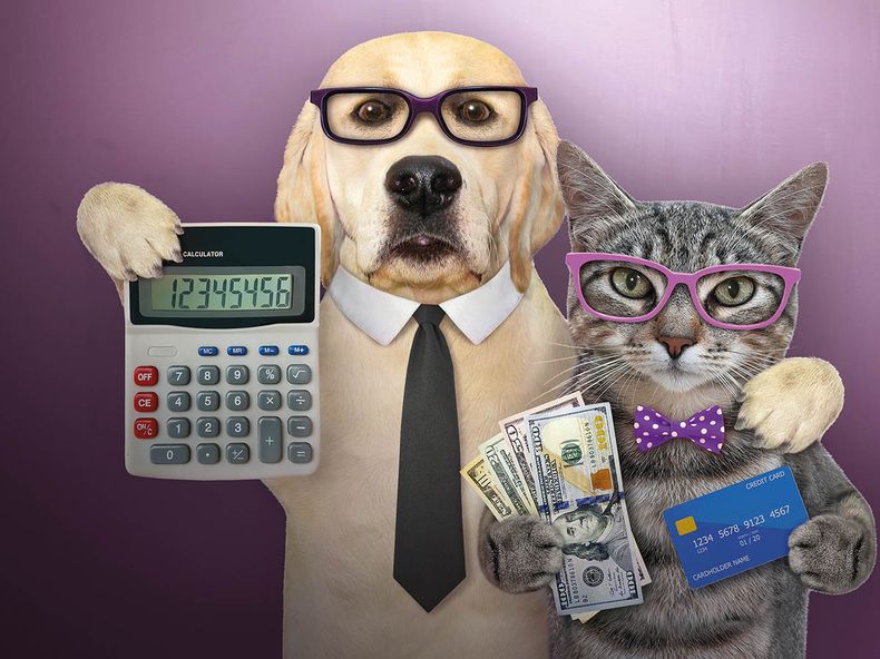 Tapa Motivar FEBRERO.jpg