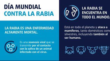 Algunas cifras en el Día Mundial de la Lucha contra la Rabia.&nbsp;