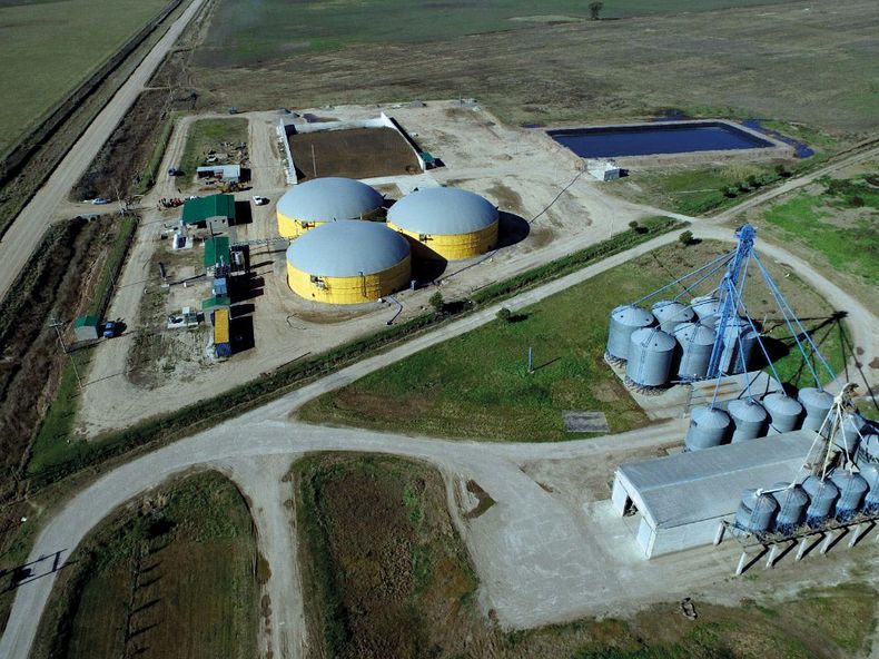 Facu 1 Riccillo 1.jpg