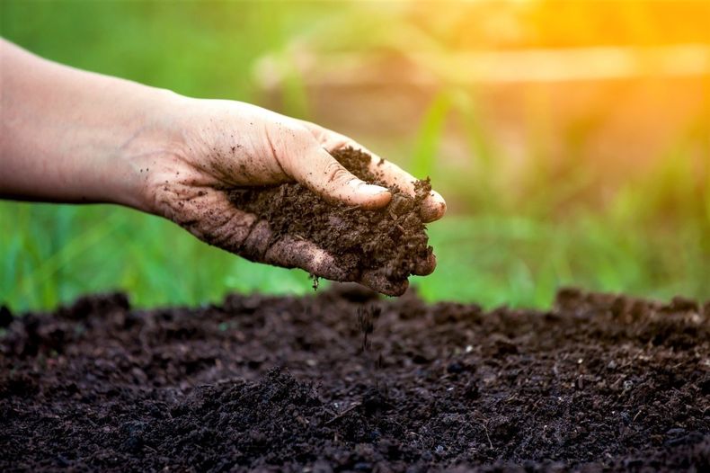 Manejo. Hay una menor reposición de nutrientes respecto a la extracción por los cultivos.