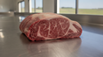 La carne Braford, reconocida por su calidad, es foco de estudios que confirman su alto valor proteico.