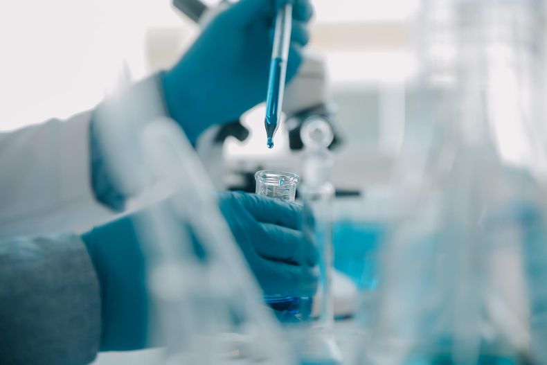 Avances en el diagnóstico de la leishmaniasis canina son clave para combatir la resistencia antimicrobiana en perros.