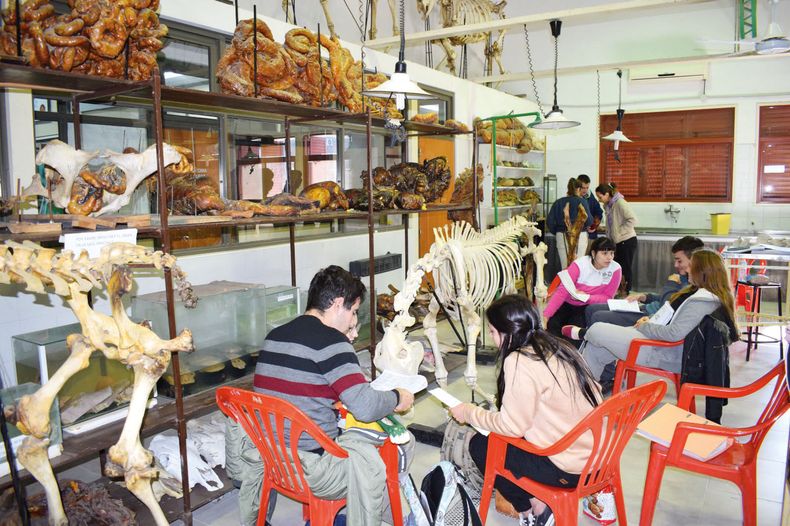 Las facultades buscan sostener la calidad educativa.