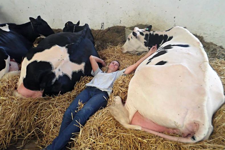 “La lechería siempre estuvo presente en nuestra vida y yo heredé los genes de mi padre... la pasión por las vacas lecheras.