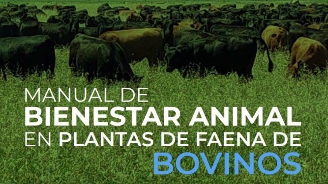 Bienestar Animal. Una hoja de ruta para la competitividad y ética en la industria bovina argentina.&nbsp;