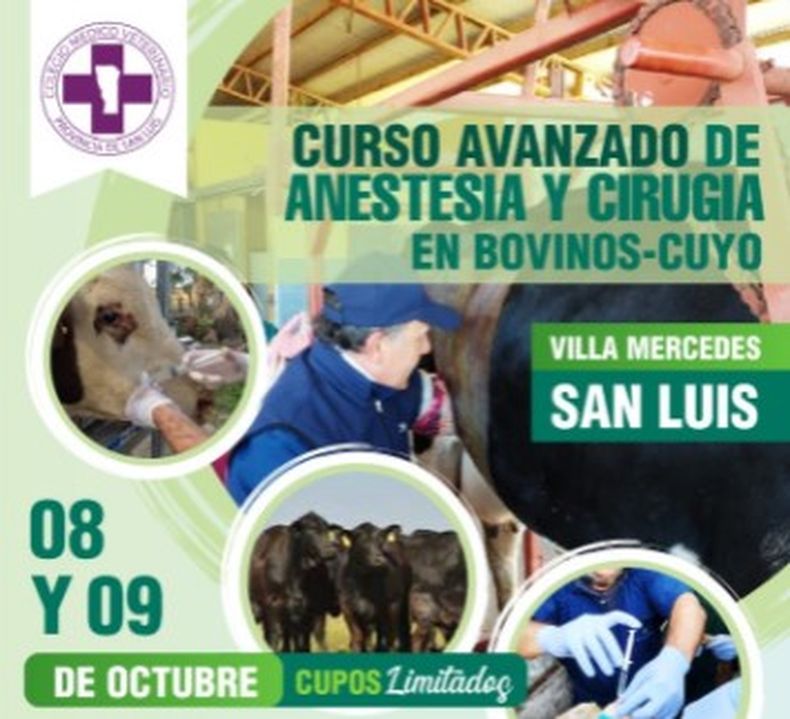curso avanzado.jpg