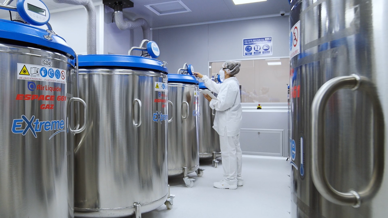 Vacunas argentinas para frenar la fiebre aftosa en Sudáfrica.