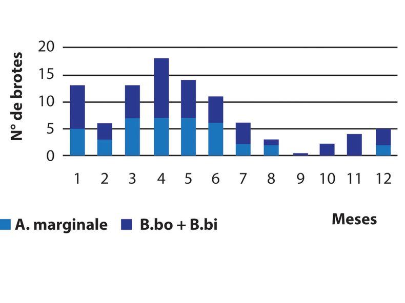 Grafico Inmunologia.jpg