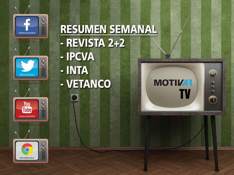 Portada Resumen 6.jpg