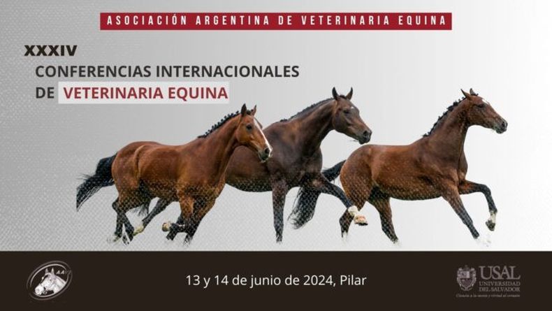 Las Conferencias Internacionales están dirigidas a MV de equinos y a estudiantes de veterinaria.