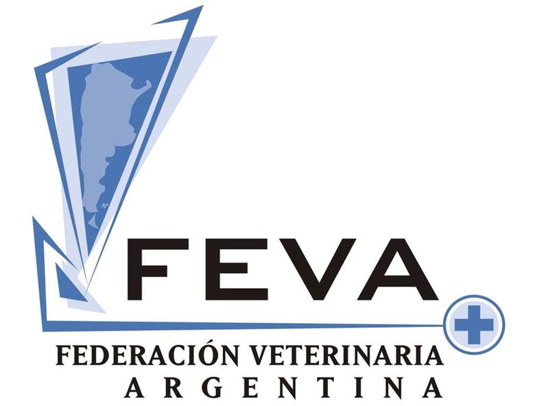 FEVA.jpg