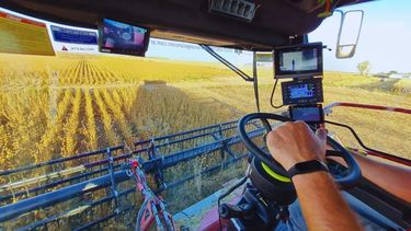 Las agtech son fundamentales para mejorar la eficiencia y sostenibilidad del campo.